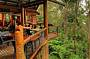Rainforest, Views & Montville Day Tour Inc. Lunch