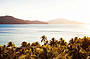 View over Catseye Beach on Hamilton Island