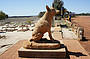 Dog Cemetery near Corrigin